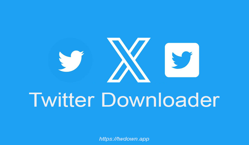 twitter video downloader